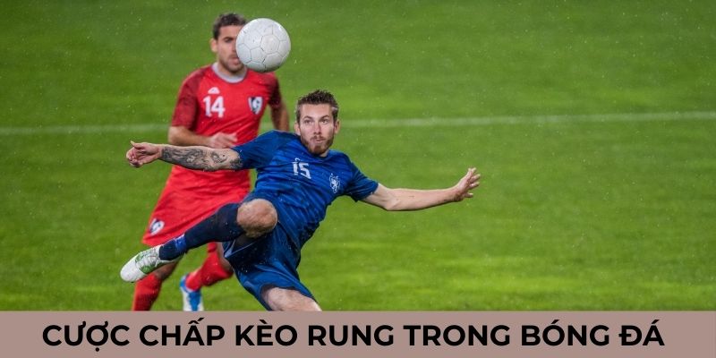 Cược chấp kèo rung trong bóng đá