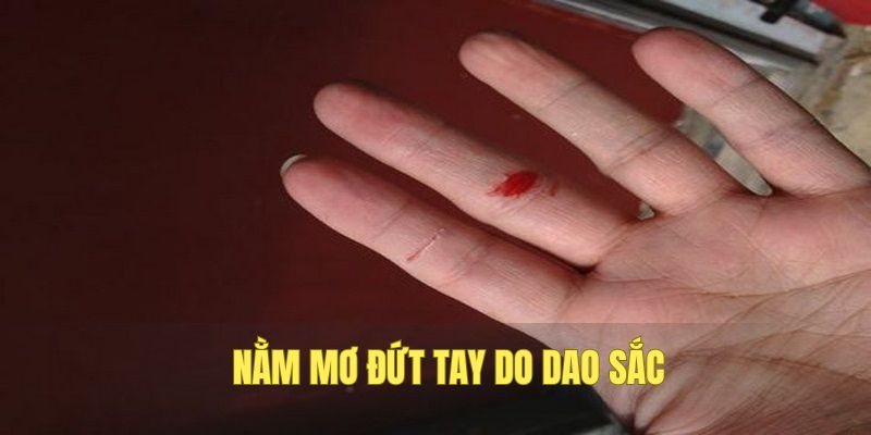 Dao sắc cứa bị thương trong mơ đánh số gì?